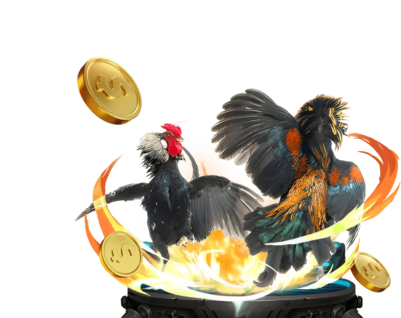 Các chương trình khuyến mãi TF88